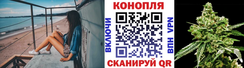 Бошки Шишки VHQ  Купить закладки  Дубна 